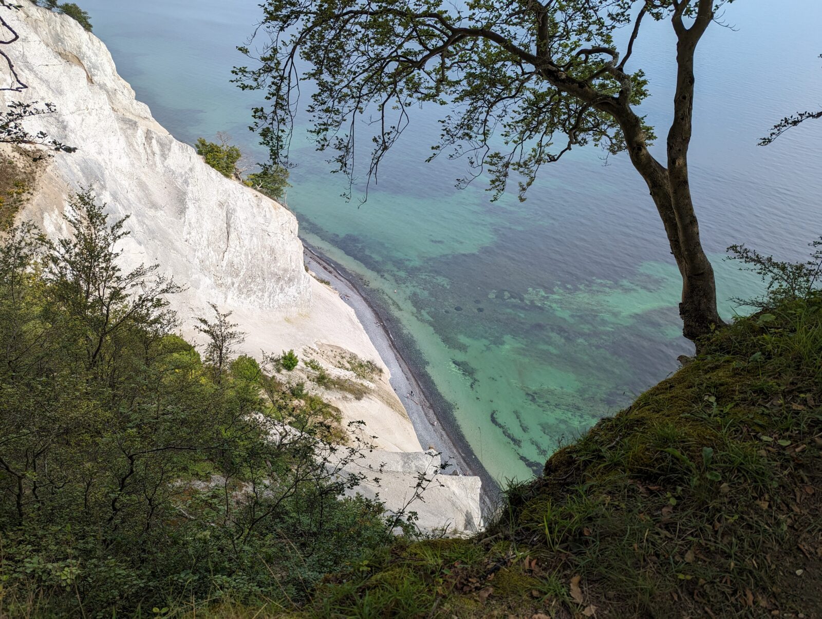 Møns klint Passion Copenhagen Møns klint white cliffs