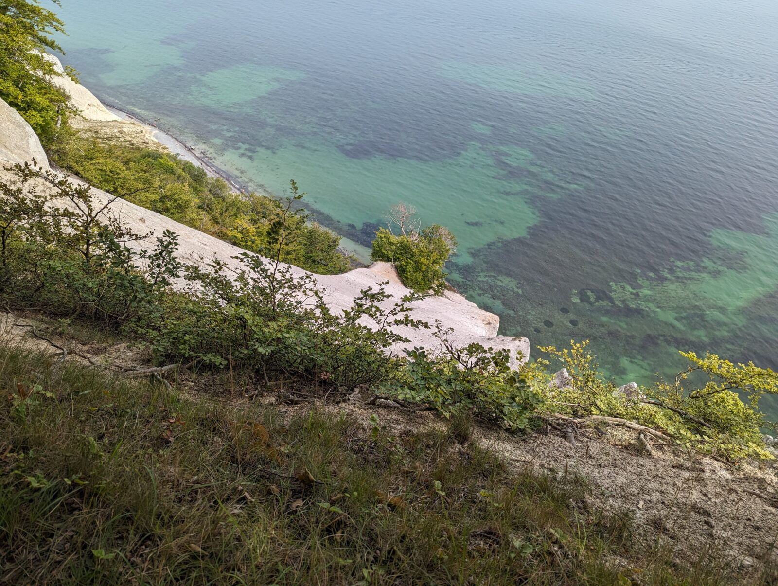 Møns klint Passion Copenhagen Møns klint white cliffs