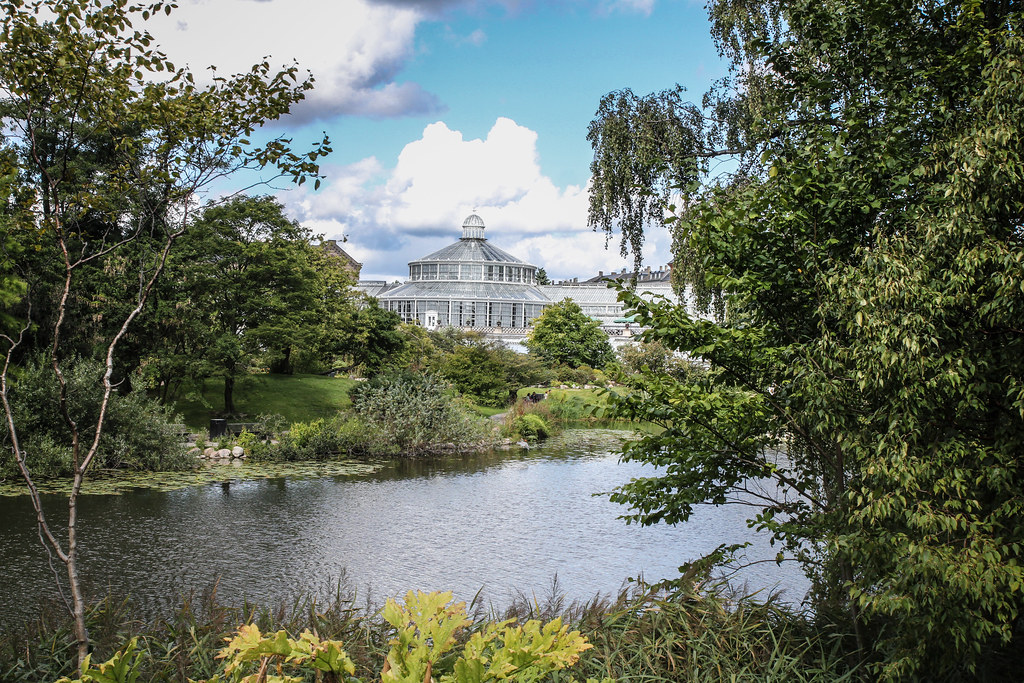 botanical garden