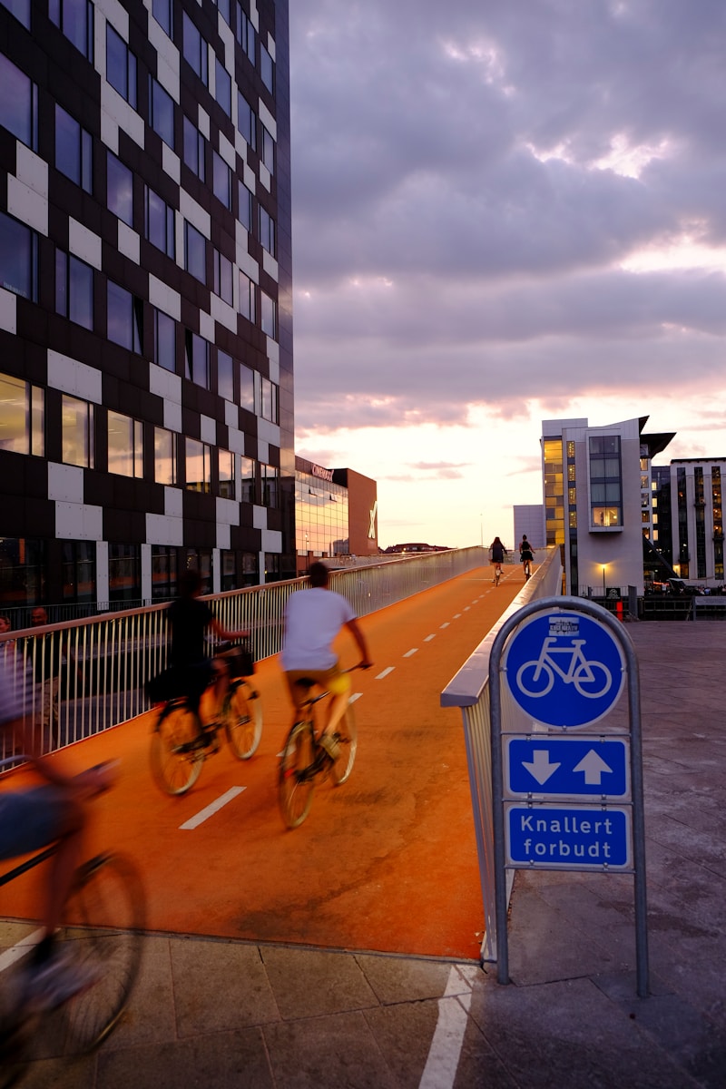 Cykelslangen
