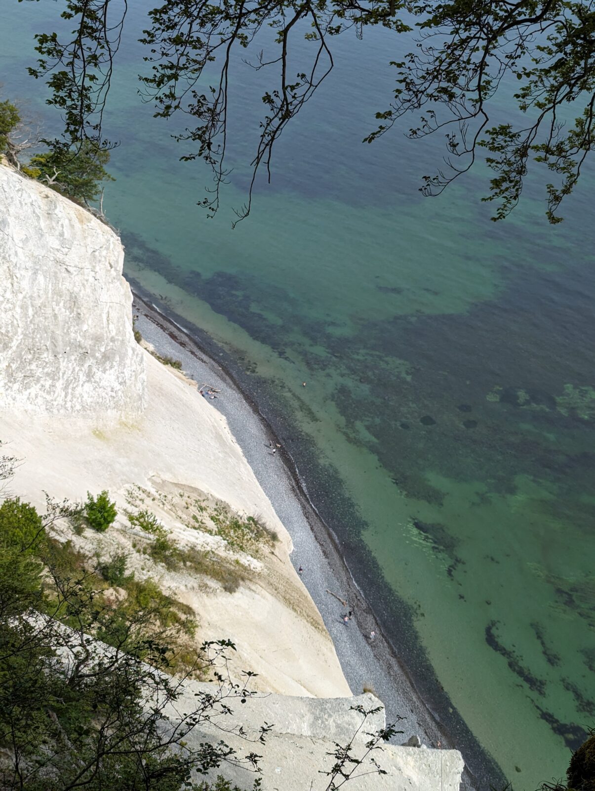 mons klint falaises