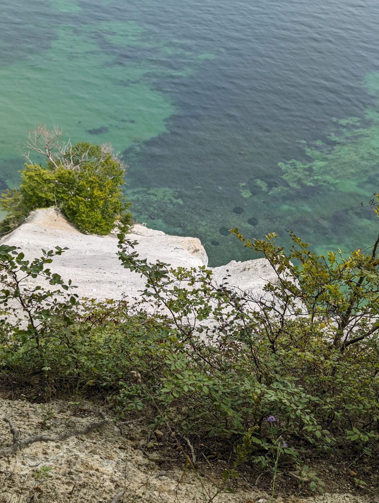 mons klint falaises